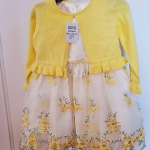 American Princess Chiffon Dress 2t NWT
